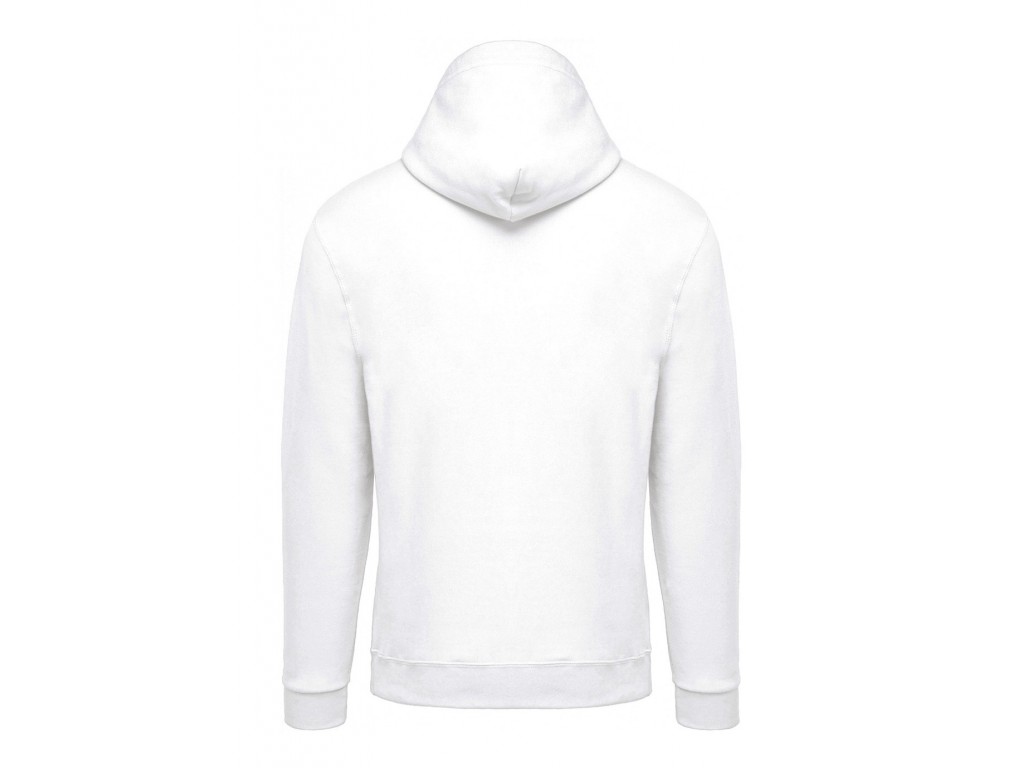 Sweat capuche homme