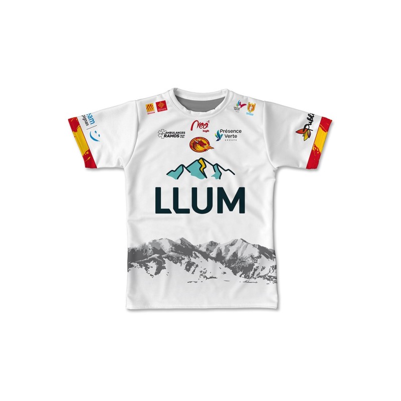 Maillot réplica 2025-2026 blanc handi dragons face