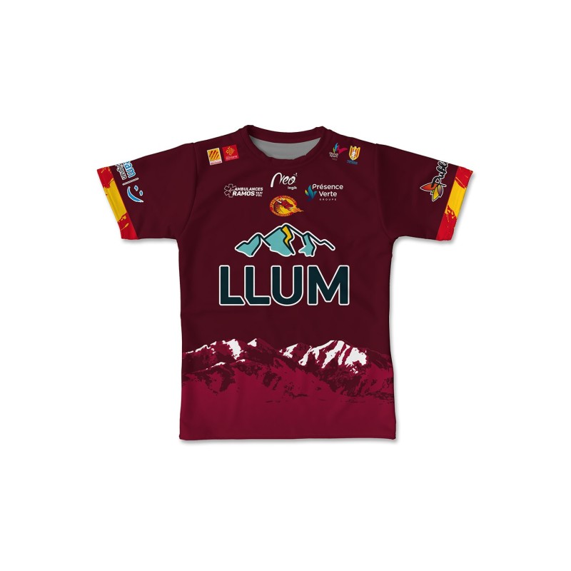 Maillot réplica 2025-2026 bordeau handi dragons