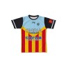 Maillot de match 2025-2026 SCR XV face