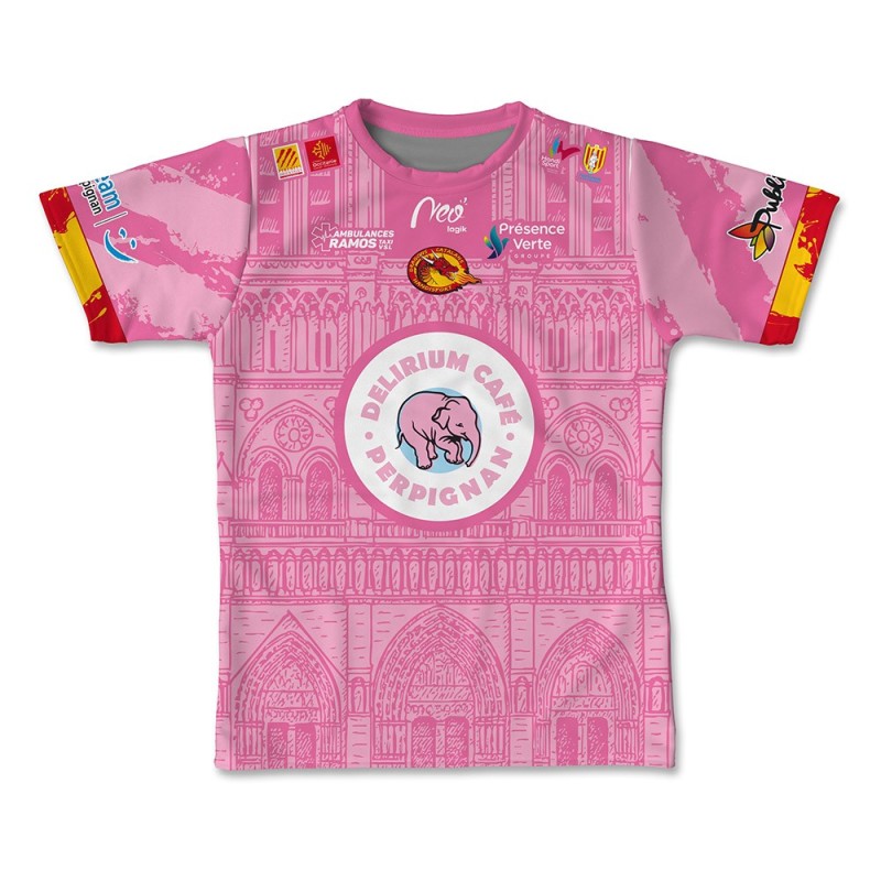 Maillot de match 2025-2026 rose handi dragons face