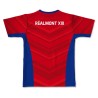 Maillot de match séniors Réalmont XIII 2022-2023 dos